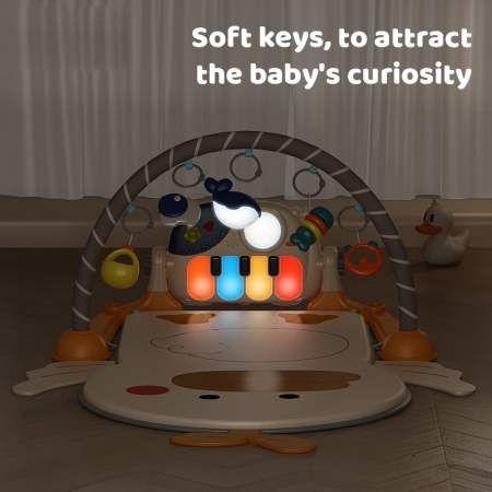 ΓΥΜΝΑΣΤΗΡΙΟ DUCKY