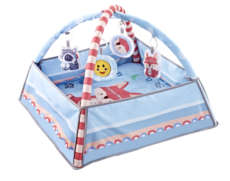 ΓΥΜΝΑΣΤΗΡΙΟ FOX 2 IN 1