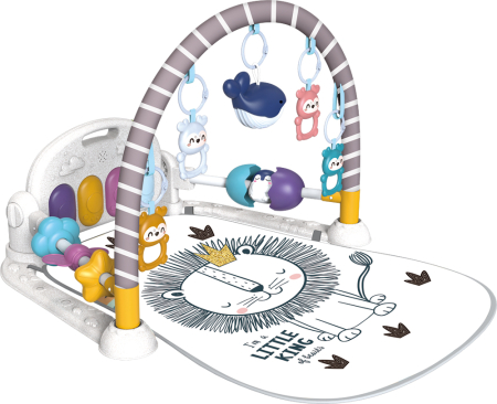 ΓΥΜΝΑΣΤΗΡΙΟ PIANO LION